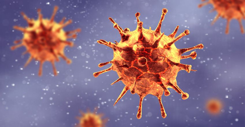Minden, amit a koronavírusról tudnod kell: mit tegyél és mit NE? 