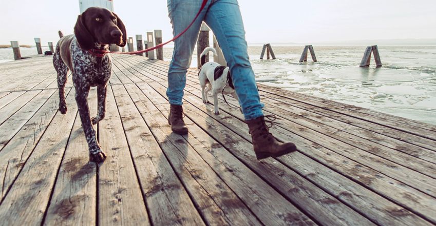 Ez a mozgásforma a hosszú élet titka