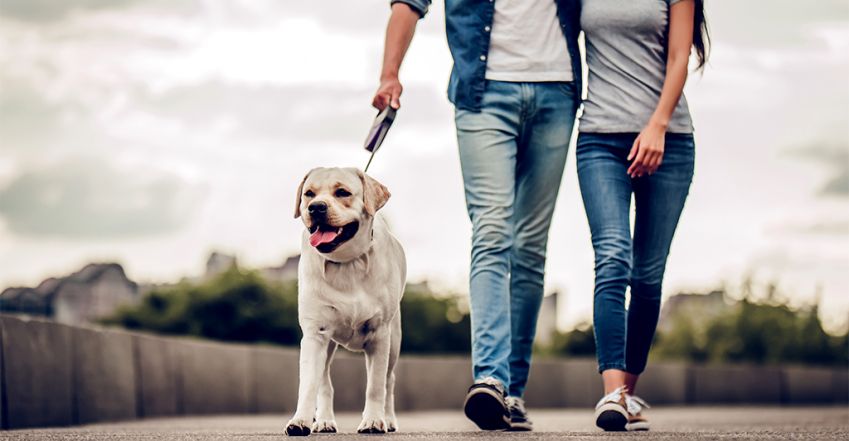Tényleg napi 10 000 lépést kell megtenned az egészséghez?