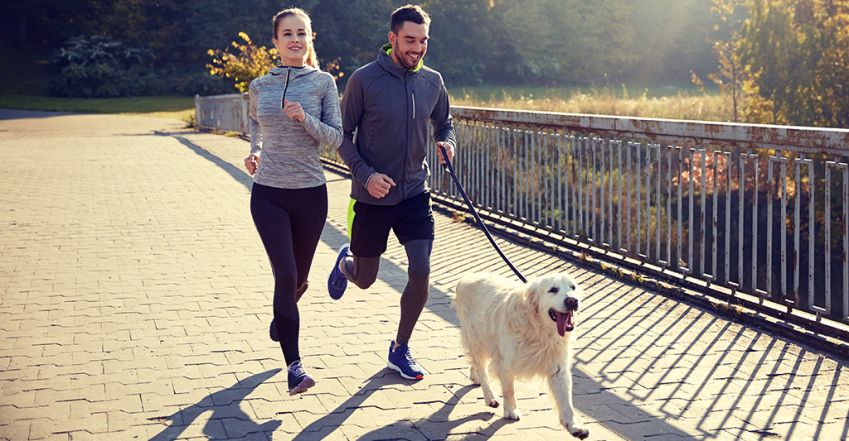 Edzés kutyával: mozogj együtt a négylábú társaddal!