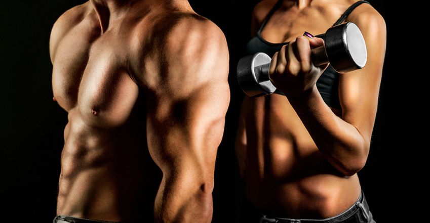 Melyik a legerősebb? Tények és tévhitek az izmokról