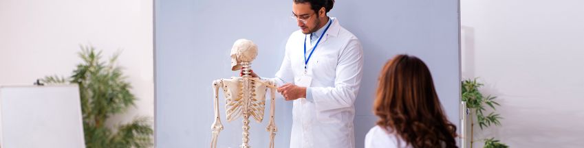 A sportmozgások funkcionális anatómiai háttere