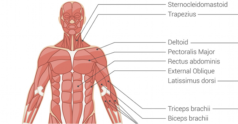 Impingement szindróma - Dr. Nyőgér Zoltán | Ortopéd, balesetsebész szakorvos, magánrendelés, Győr